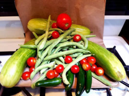 How About Some Healthy Gazpacho Soup? Gazpacho soup garden haul