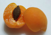 Apricots Apricot cut