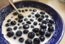 Delicious bowl of Blueberries and Milk
