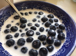 Delicious bowl of Blueberries and Milk