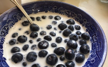 Delicious bowl of Blueberries and Milk