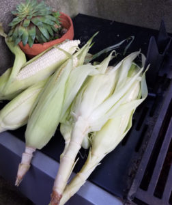 corn pre-grilled