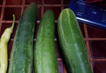 Cucumbers cucumbers 2017