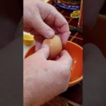 Egg Yoke Separation