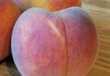 Peach – O’Henry peach o'henry