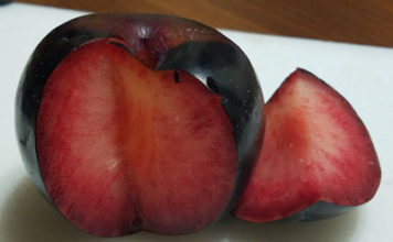 Plums plum cut sample