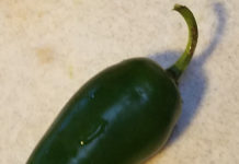 Jalapeño Peppers Jalapeno pepper