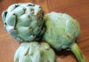 Artichokes artichokes