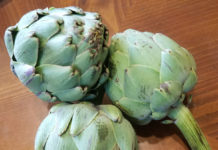 Artichokes artichokes