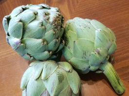 Artichokes artichokes