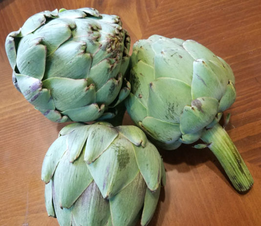 Artichokes artichokes