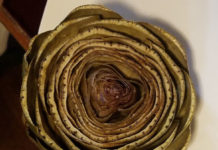 Cooking the Mysterious Artichoke artichokes post steam top view