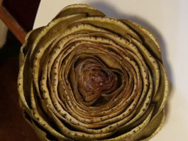 Cooking the Mysterious Artichoke artichokes post steam top view