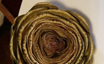 Cooking the Mysterious Artichoke artichokes post steam top view