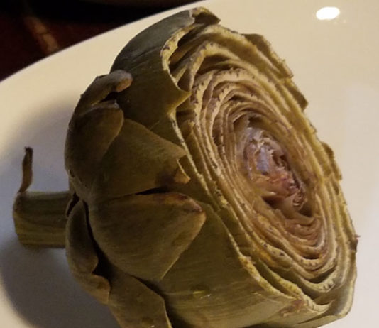 Artichoke Dip artichokes post steam side view