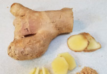 Ginger Ginger - Fresh and in dried powder form