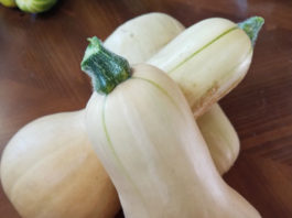 Butternut Squash Soup butternut squash