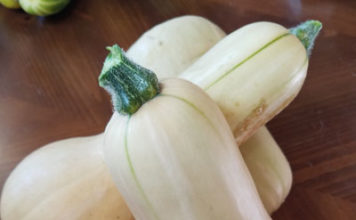 Butternut Squash Soup butternut squash