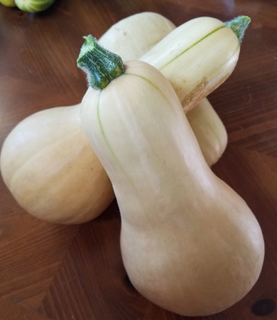 Butternut Squash Soup butternut squash